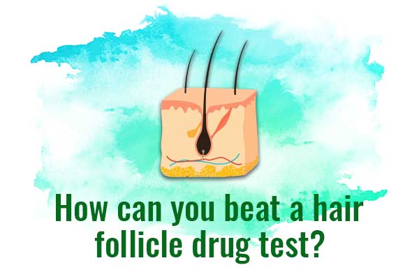 Hair Follicle Drug Test Chart